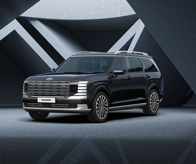 현대 디 올 뉴 팰리세이드
