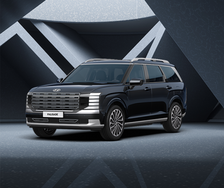 현대 디 올 뉴 팰리세이드